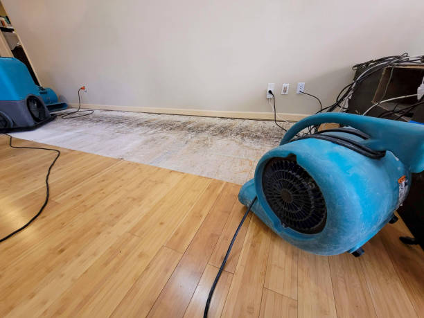 Professional Water Damage Repair technician working in Fairdale, PA